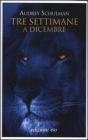 Tre settimane a dicembre. eBook