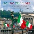 Torino tricolore. Creativit� e inventiva tra le strade e le vetrine della citt� nel centocinquantenario dell'Unit� d'Italia. Ediz. italiana e inglese