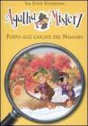 Furto alle cascate del Niagara. eBook