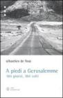 A Piedi a Gerusalemme. eBook