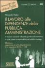 Il lavoro alle dipendenze della pubblica amministrazione. eBook