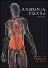 Anatomia umana