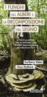 I funghi, gli alberi e la decomposizione del legno