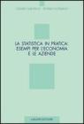 La statistica in pratica: esempi per l'economia e le aziende