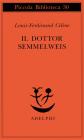 Il dottor Semmelweis