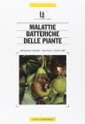 Malattie batteriche delle piante