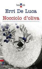 Nocciolo d'oliva Nocciolo d'oliva
