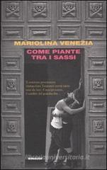 Come piante tra i sassi. eBook