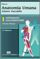 Anatomia umana. Apparato locomotore. Atlante tascabile Anatomia umana. Apparato locomotore. Atlante tascabile