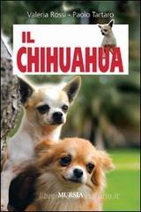 Il chihuahua Il chihuahua