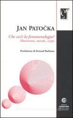 Che cos'è la fenomenologia. Movimento, mondo, corpo Che cos'è la fenomenologia. Movimento, mondo, corpo