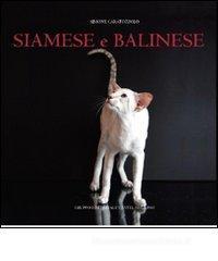 Siamese e balinese