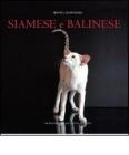 Siamese e balinese