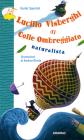 Lucillo Visberghi di colle ombreggiato naturalista