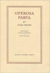 Operosa parva. Per Gianni Antonini