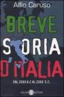 Breve storia d'Italia. Dal 2000 a. C. al 2000 d. C.�Breve storia del mondo
