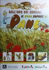 Il buon sapore di pane. Dall'oro dei cereali