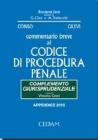 Commentario breve al Codice di procedura penale. Complemento giurisprudenziale - Appendice 2010