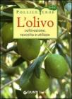 L' olivo. Coltivazione, raccolta e utilizzo