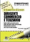 Il contratto di lavoro. Dirigenti commercio e terziario