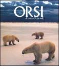 Orsi di tutto il mondo