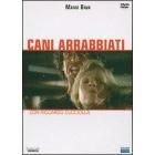 Cani arrabbiati