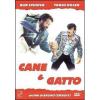 Cane e gatto