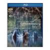 Richard Wagner. G�tterd�mmerung. Il crepuscolo degli dei (Blu-ray)