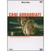 Cani arrabbiati