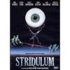 Stridulum