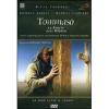 Tommaso