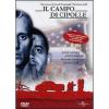 Il campo di cipolle