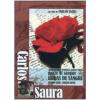 Bodas de sangre. Nozze di sangue