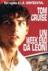 Un week-end da leoni