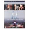 A.I. Intelligenza artificiale (2 Dvd)