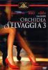 Orchidea selvaggia 3