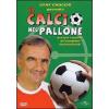 Il calcio nel pallone