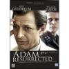 Adam Resurrected