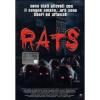 Rats