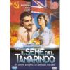 Il seme del tamarindo
