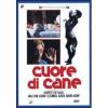 Cuore di cane