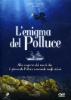 L' enigma del Polluce