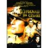 Ventitr� pugnali per Cesare