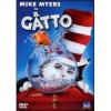 Il gatto