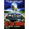 Black Sheep. Pecore assassine