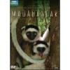 Madagascar