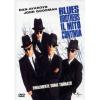 Blues Brothers, il mito continua