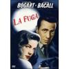 La fuga