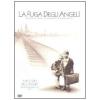 La fuga degli angeli. Storie del kindertransport