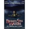 Beneath Still Waters
